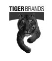 Client-Tiger-Brands